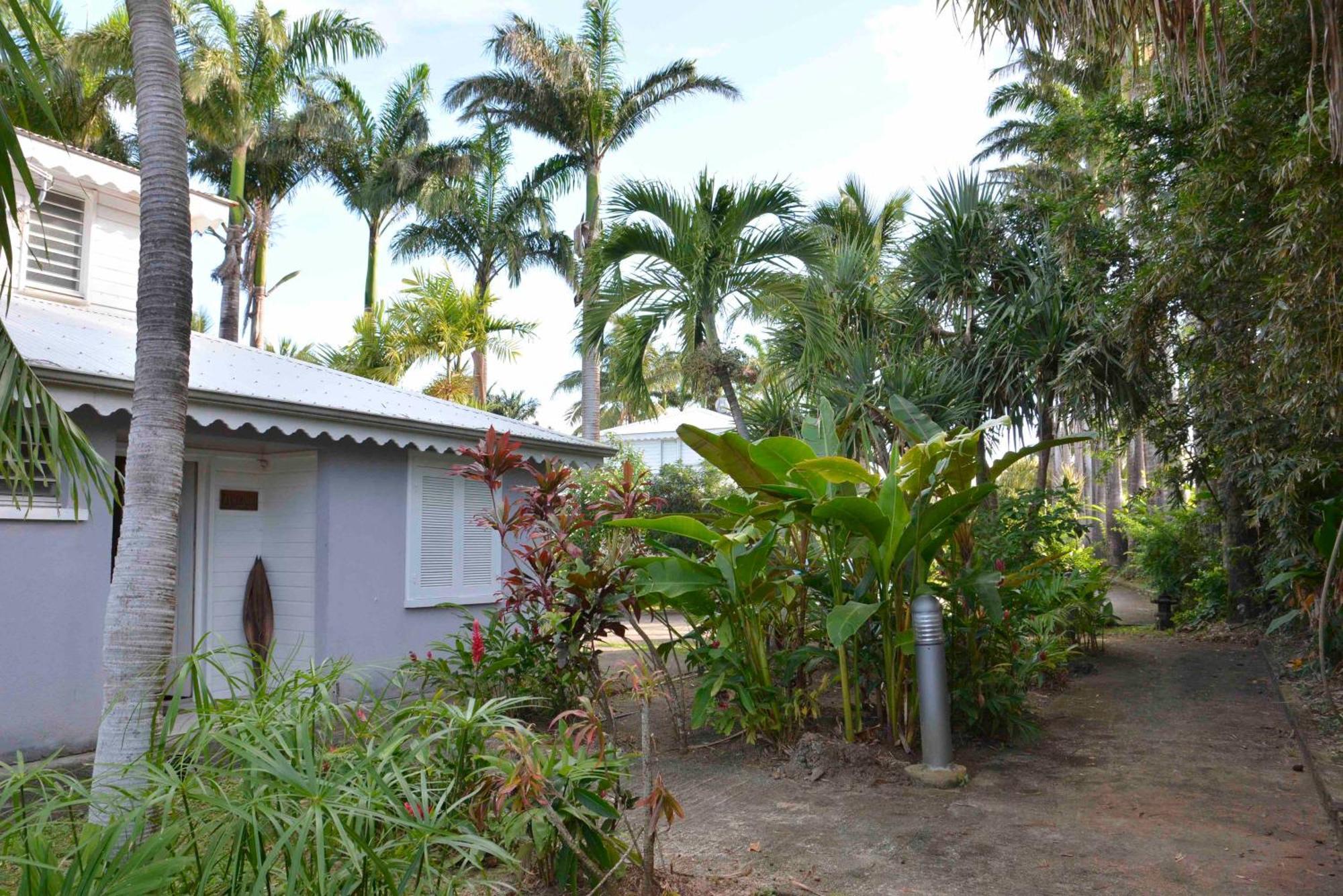Villa Van Gogh Aux Aquarelles Sainte-Rose Dış mekan fotoğraf